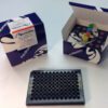 Human Albumin FRET-PINCER Assay Kit, 384 well format - Image 4