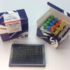 Human Albumin FRET-PINCER Assay Kit, 384 well format