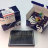 Human Insulin TRF-PINCER Assay Kit, 384-well format - Image 3