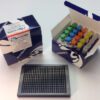 Human Insulin TRF-PINCER Assay Kit, 384-well format