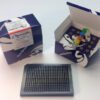 Rabbit IgG TRF-PINCER® Assay Kit, 384-well format - Image 2