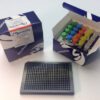 Rabbit IgG TRF-PINCER® Assay Kit, 384-well format